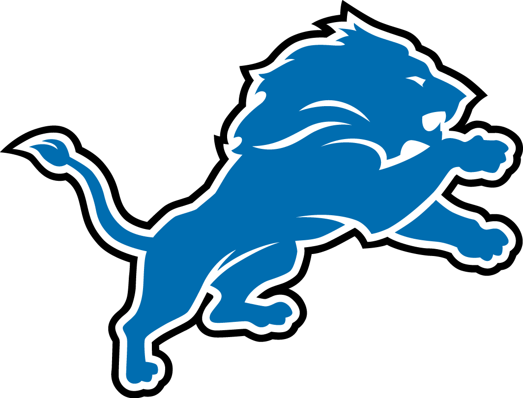 Detroit Lions 2009-2016 Primary Logo fabric transfer